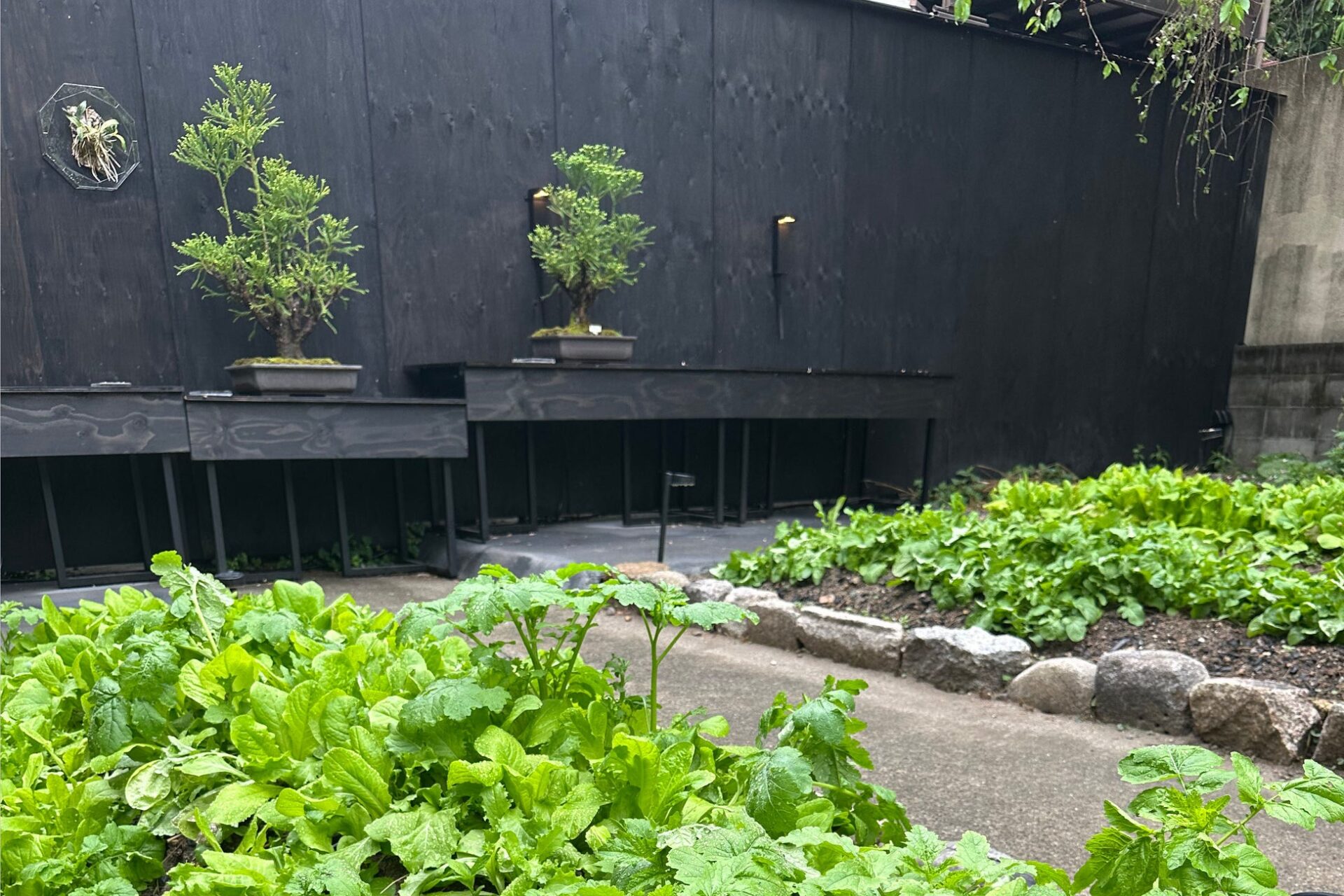 画像に alt 属性が指定されていません。ファイル名: 55282-399-9a947fde38135a58638a197301a289a2-3024x2016.jpg